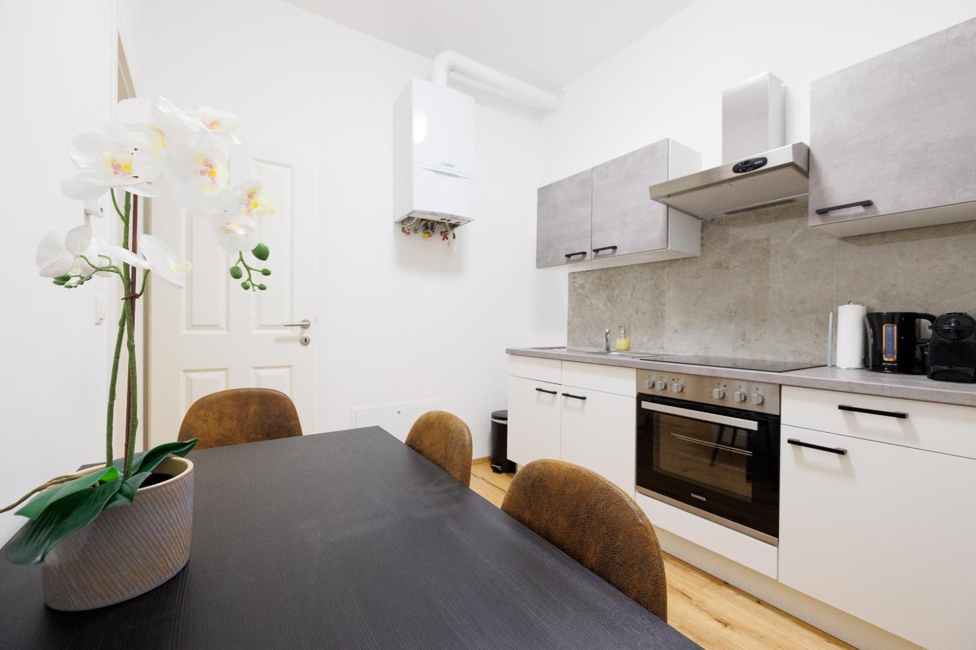 Grosszuegiges App. 2 Schlafzimmer Wien